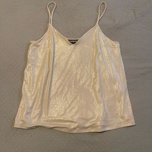 Express Shimmery Tanktop